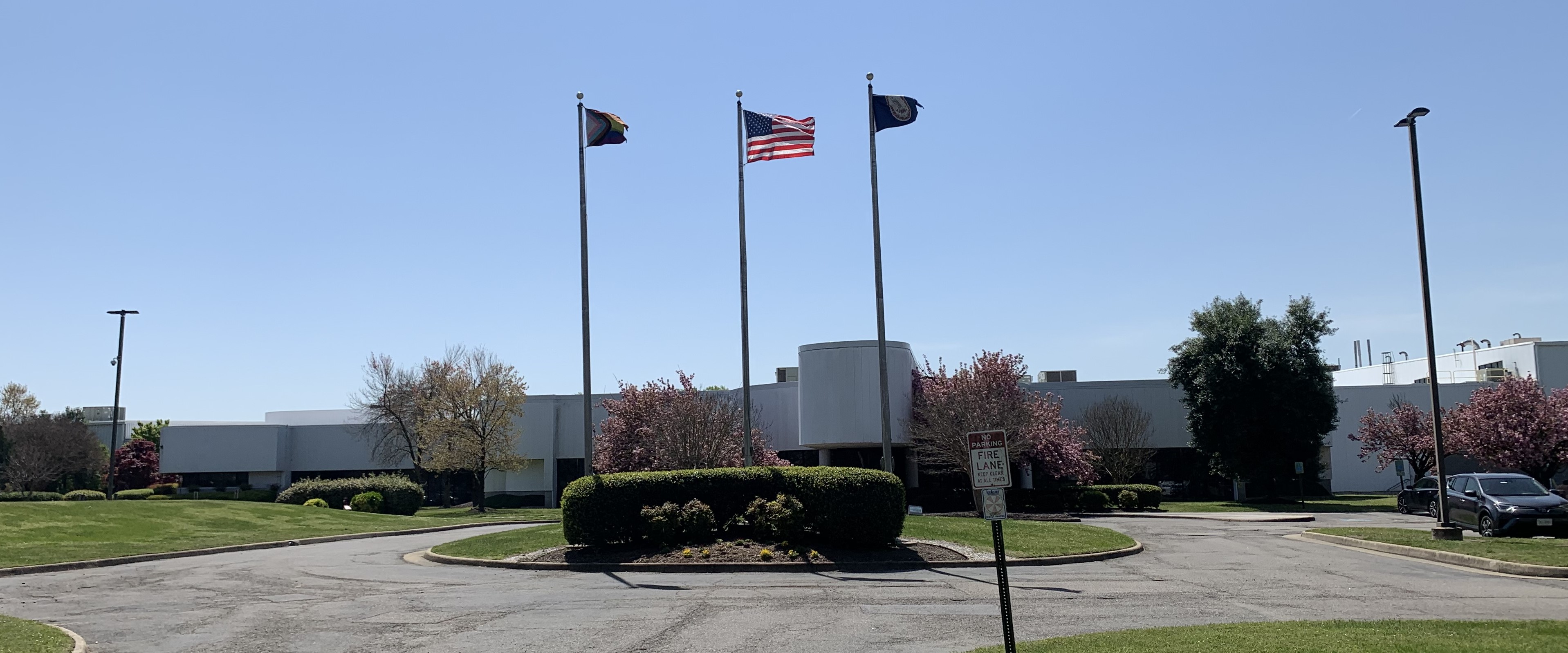 VA Plant 04